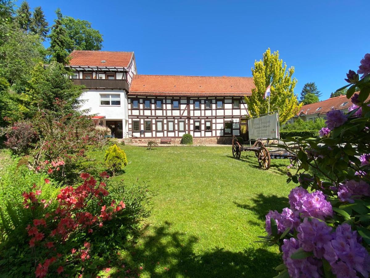 Hotel Pension Gelpkes Muehle Бад-Закса Экстерьер фото